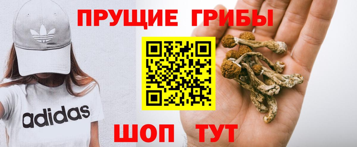 где купить   Вход с VPN  Южно-Сахалинск  Псилоцибиновые грибы Cubensis 